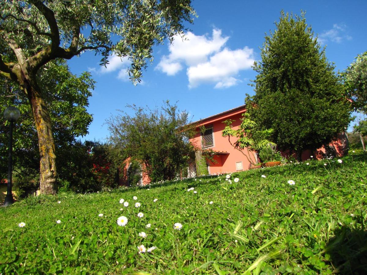 B&B Ai Glicini - Castelli Romani Marino Exteriér fotografie
